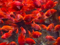 -波塞冬旅游度假区