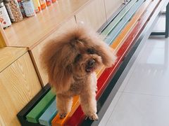 -中农大我爱我爱动物医院·核磁CT·猫病·24小时夜诊中心(石佛营店)