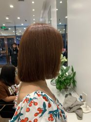 -YESIDO椰岛造型