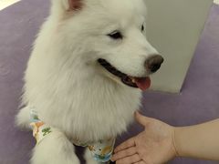 -怪兽屋·羊驼·猫咖·狗咖(俊华广场店)