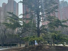 -迎泽公园