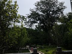 -西海子公园