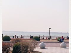 -丁香湖公园
