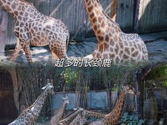 -长鹿旅游休博园