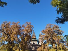 -北京石刻艺术博物馆(五塔寺)
