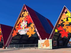 -五角枫生态旅游景区