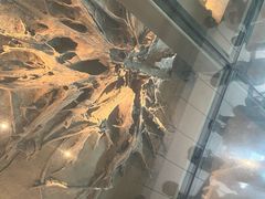 -金沙遗址博物馆