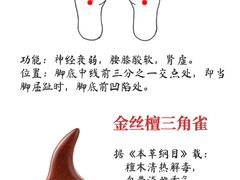 -雅享养生·中医调理·筋骨艾灸(广兰路店)