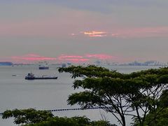 -圣淘沙天际线斜坡滑车