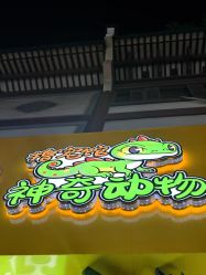 -神奇动物撸宠馆·羊驼·小浣熊·异宠(豫园店)