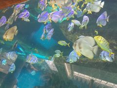 -波塞冬旅游度假区