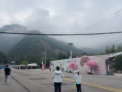 -少华山国家森林公园