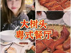 -大树头森林餐厅(番禺广场店)