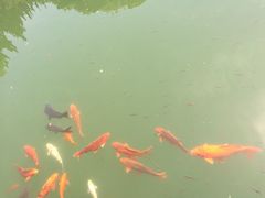 -白马涧龙池景区