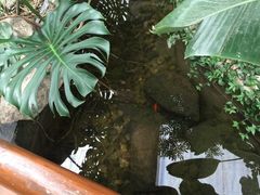 -汤山翠谷生态餐厅