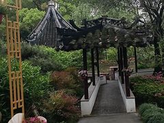-上海醉白池公园