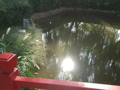 -玲珑塔公园