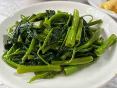 -明升萝卜汤