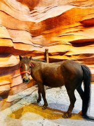 -酷嗒动物文化乐园(cutezoo西溪乐天城店)