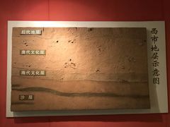 -西安大唐西市博物馆