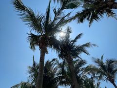 -玫瑰海岸文化旅游度假区