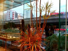 -我的四季意大利餐厅(春天百货店)