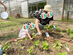 -前小桔亲子创意农场·草莓采摘·露营烧烤