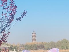 -西海子公园