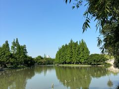 -江心屿景区