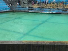 -合肥野生动物园