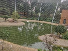 -太原动物园
