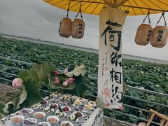 -七的湖·晚芳亭·阳澄湖农家菜·大闸蟹(莲花岛店)
