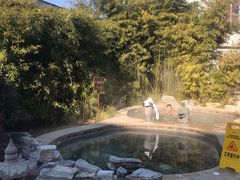 -中家鑫园温泉酒店鑫悦汤泉