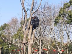 -上海野生动物园