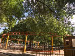 -朝阳公园游乐园