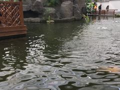 -汤山翠谷生态餐厅