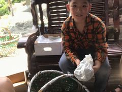 -马陆小张葡萄园农家乐