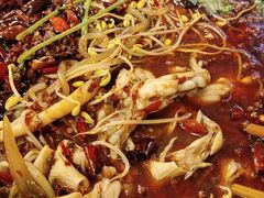 -鸿顺老铁锅美蛙鱼府(解放碑店)