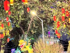 -越秀西湖花市(广州城市广场花卉店)