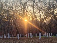 -长春世界雕塑园冰雪艺术天地