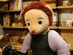 -济州岛泰迪熊博物馆