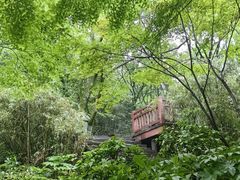 -杭州半山国家森林公园