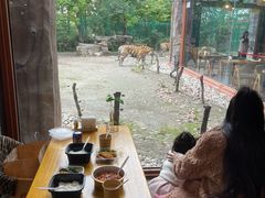 -上海野生动物园老虎餐厅
