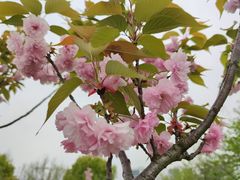 -上海山野camping·户外天幕烧烤·团建拓展营地