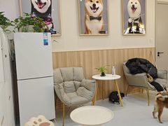 -柴源莊·柴小宠柴犬咖啡