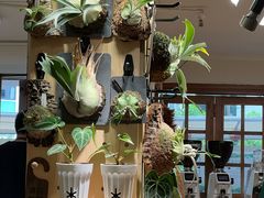 -本無咖啡·BeanWood Coffee