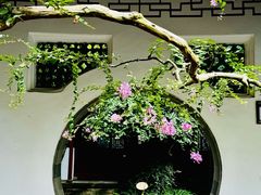 -上海醉白池公园