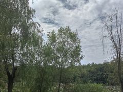 -盘龙城国家考古遗址公园