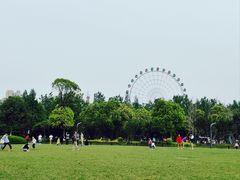 -洋湖国家湿地公园