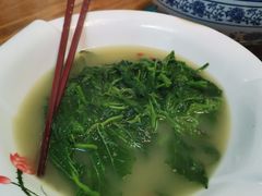 上汤桑叶-食德喜·阳山鸡王食研基地